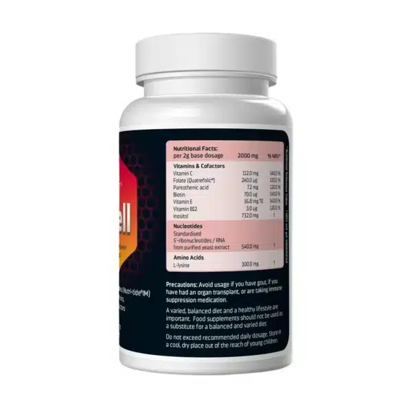 nnnSPORT X-Cell (3) (1)