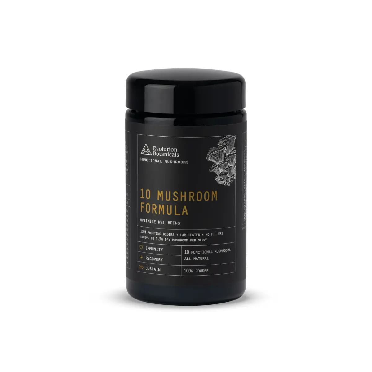 Evolution Botanicals, 10 Mushroom Formula, 100g