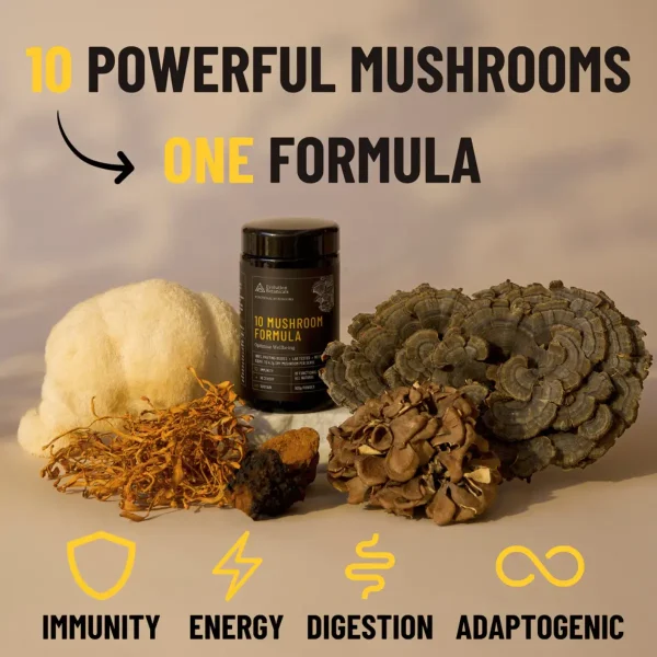 Evolution Botanicals, 10 Mushroom Formula, 100g