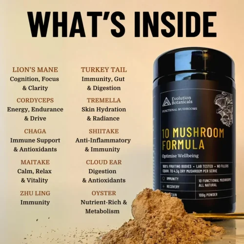 Evolution Botanicals, 10 Mushroom Formula, 100g